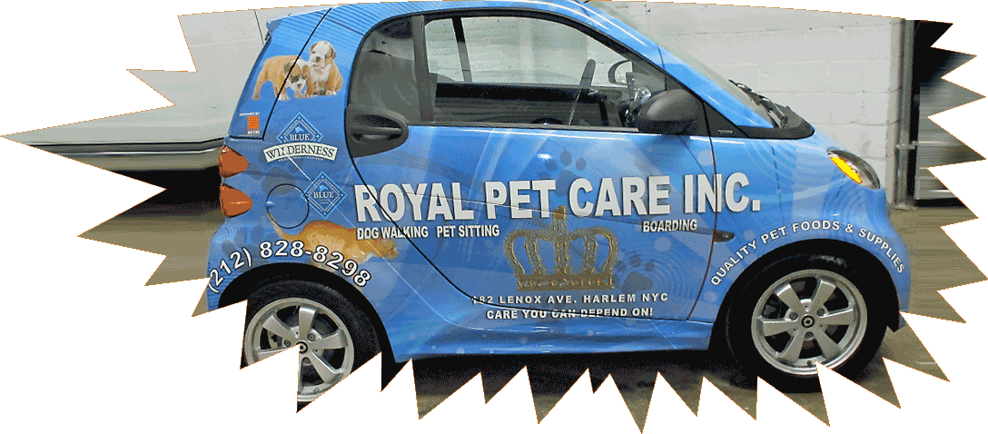 car-wraps